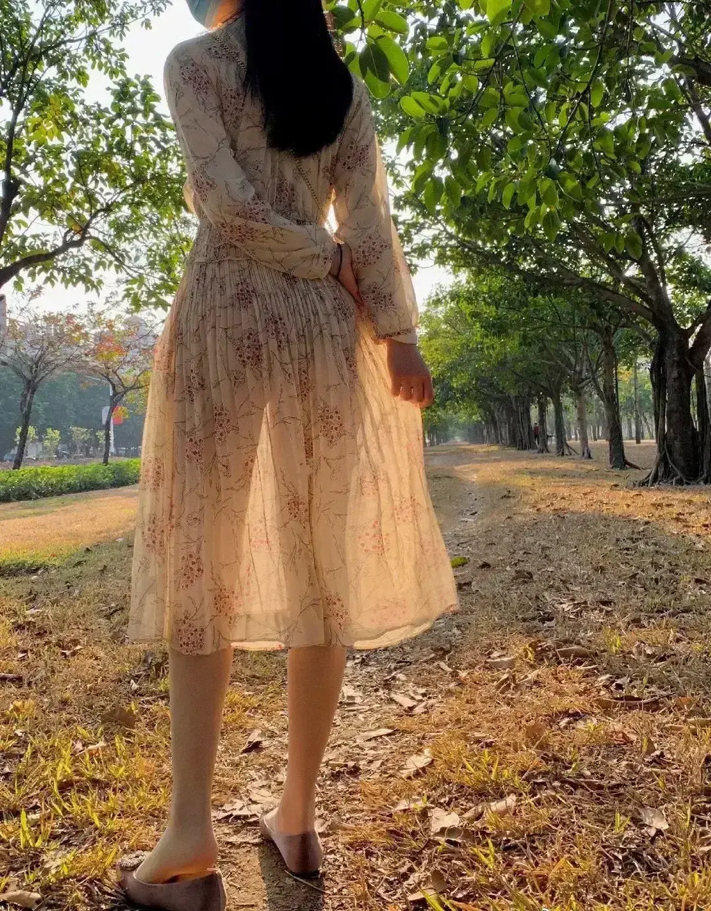 绿树斜光映旖旎，驻足坐爱荒草中