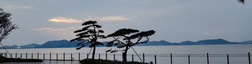 东钱湖100里徒步环湖和牙髓炎