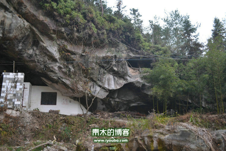天台山慈恩寺修行之旅
