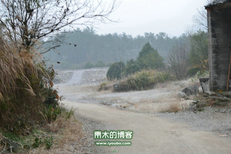 天台山慈恩寺修行之旅