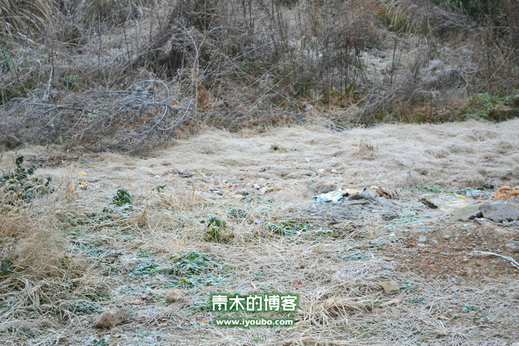 天台山慈恩寺修行之旅