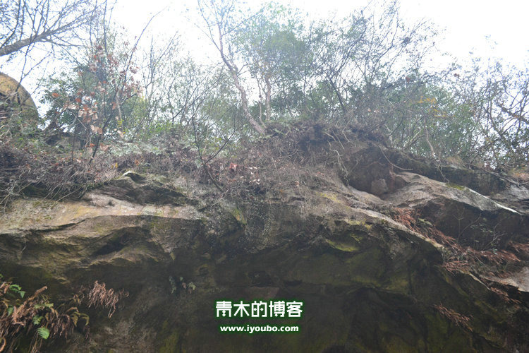 天台山慈恩寺修行之旅