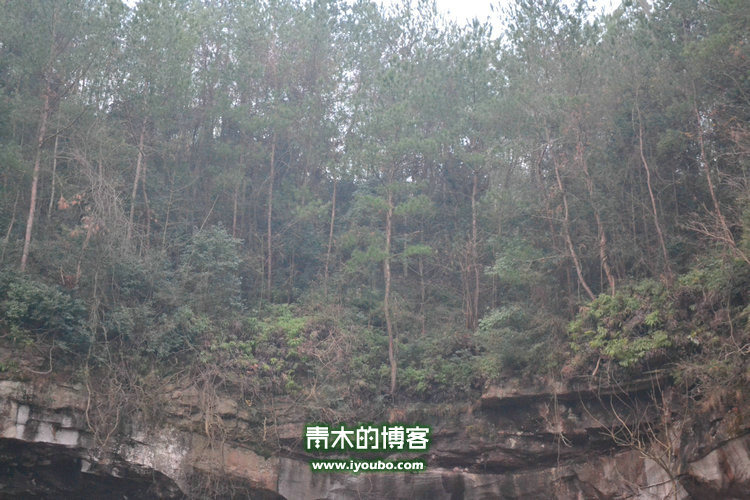 天台山慈恩寺修行之旅