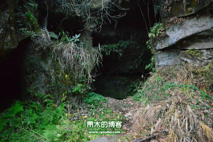 天台山慈恩寺修行之旅