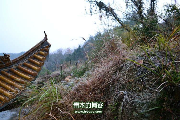 天台山慈恩寺修行之旅