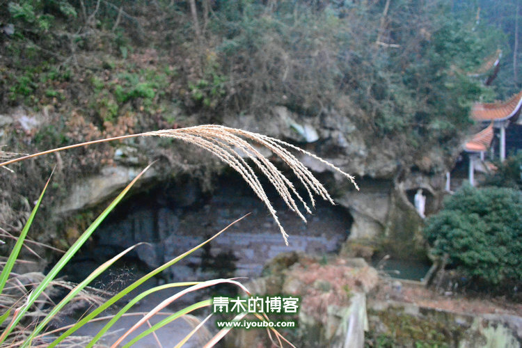 天台山慈恩寺修行之旅