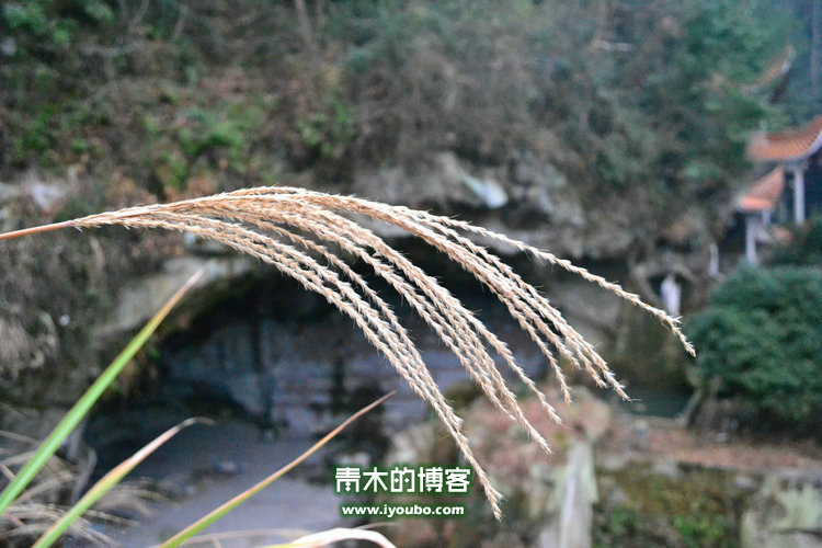 天台山慈恩寺修行之旅
