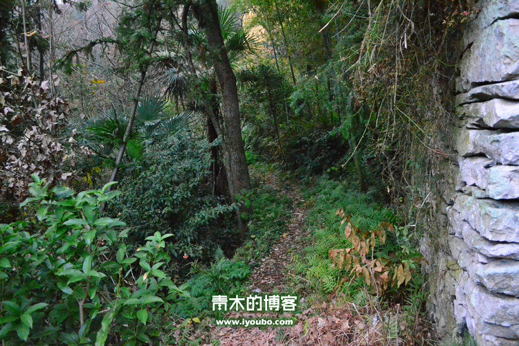 天台山慈恩寺修行之旅