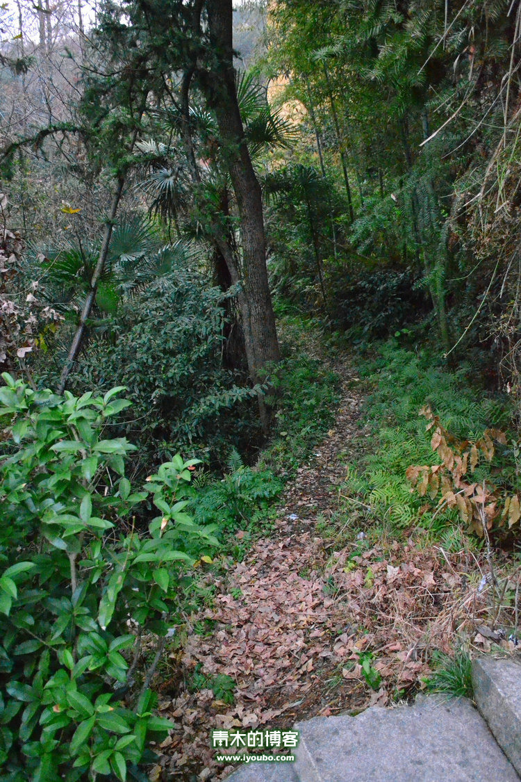 天台山慈恩寺修行之旅