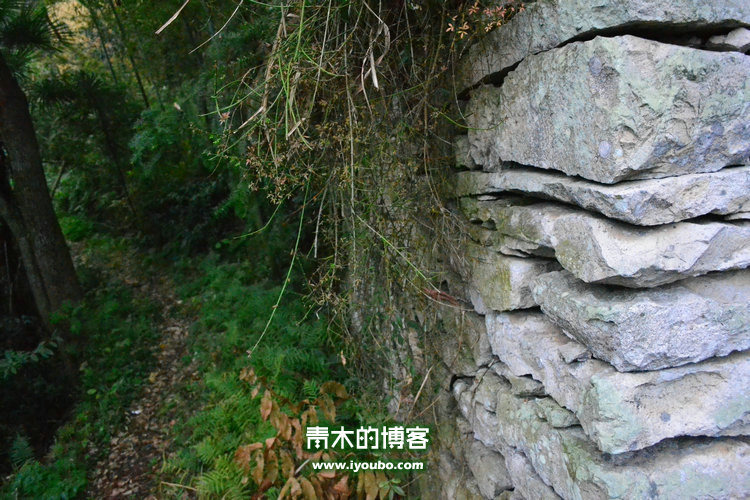 天台山慈恩寺修行之旅