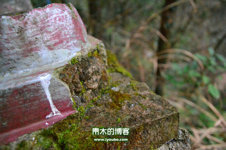 天台山慈恩寺修行之旅