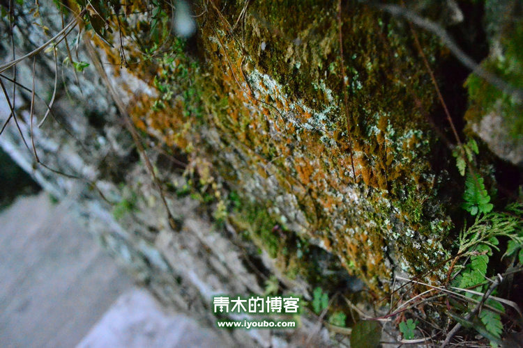 天台山慈恩寺修行之旅