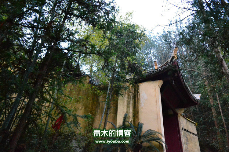 天台山慈恩寺修行之旅