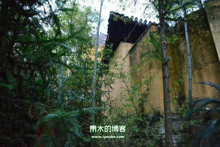 天台山慈恩寺修行之旅