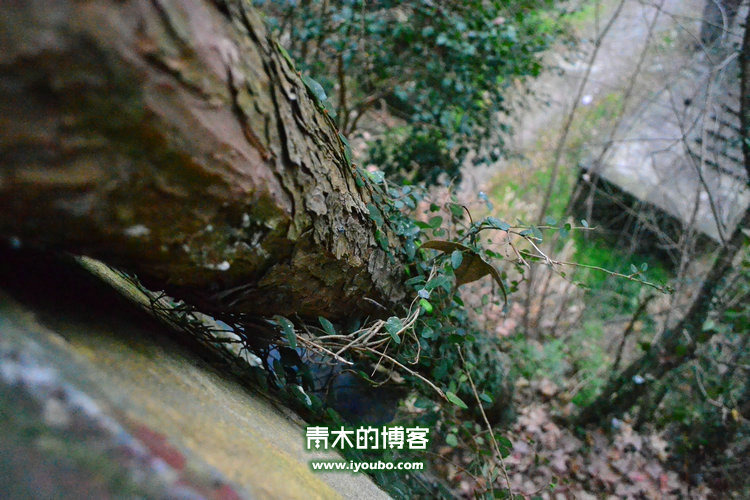 天台山慈恩寺修行之旅