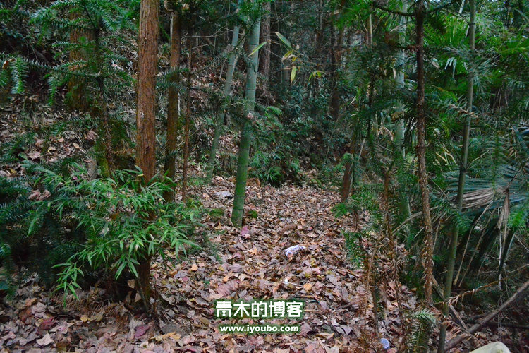 天台山慈恩寺修行之旅