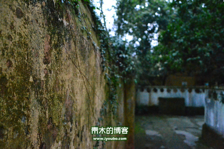 天台山慈恩寺修行之旅