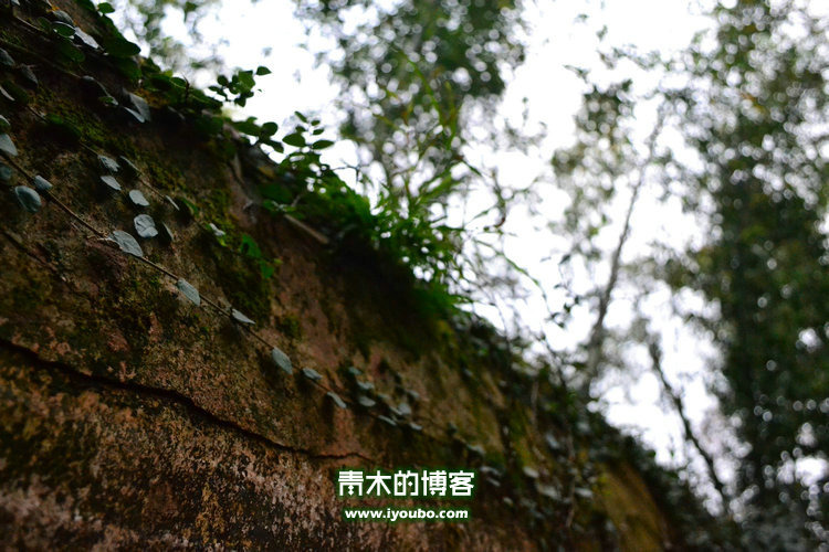 天台山慈恩寺修行之旅