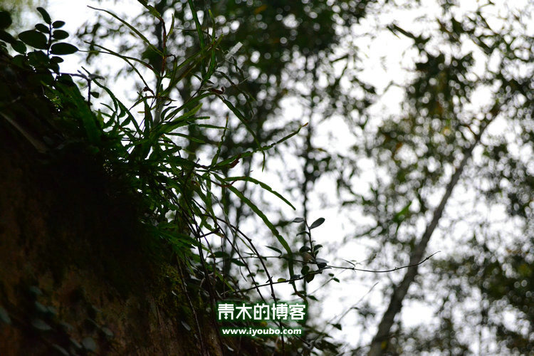 天台山慈恩寺修行之旅