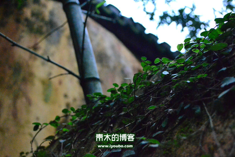 天台山慈恩寺修行之旅