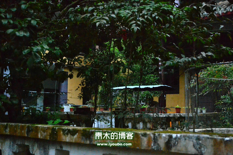 天台山慈恩寺修行之旅