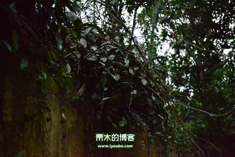 天台山慈恩寺修行之旅