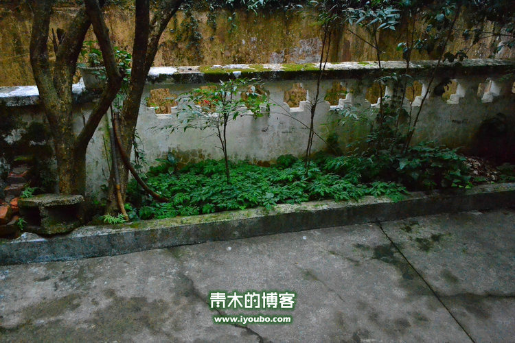 天台山慈恩寺修行之旅