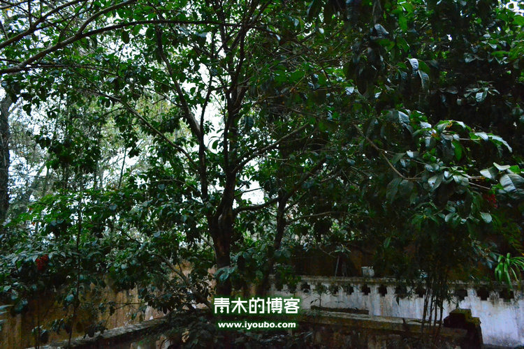 天台山慈恩寺修行之旅