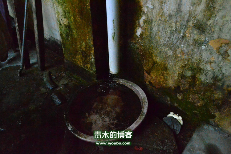 天台山慈恩寺修行之旅