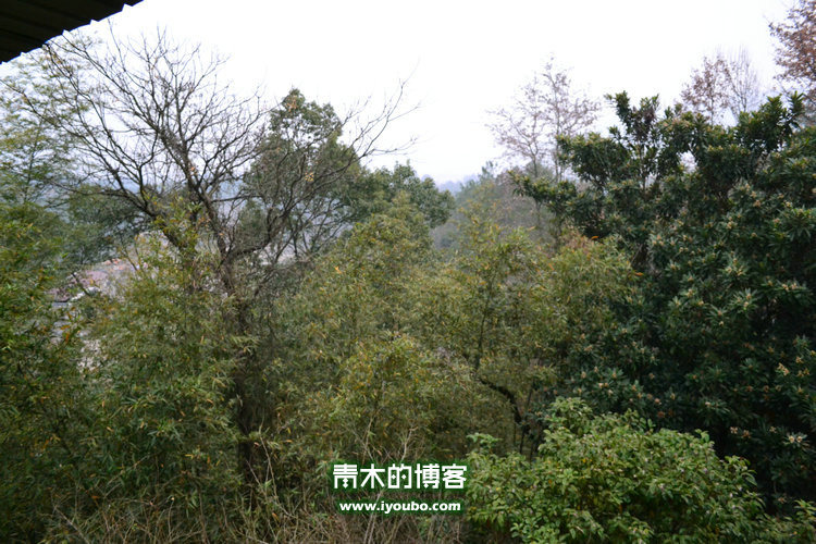 天台山慈恩寺修行之旅