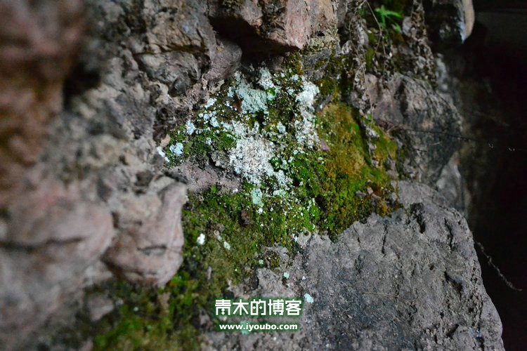 天台山慈恩寺修行之旅