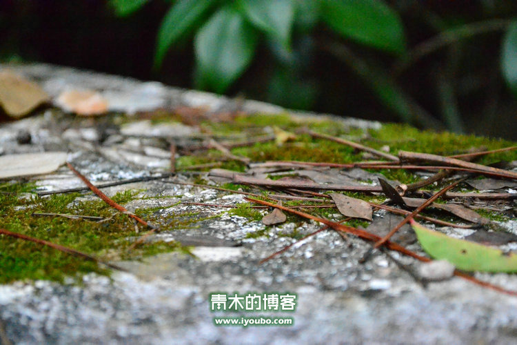 天台山慈恩寺修行之旅