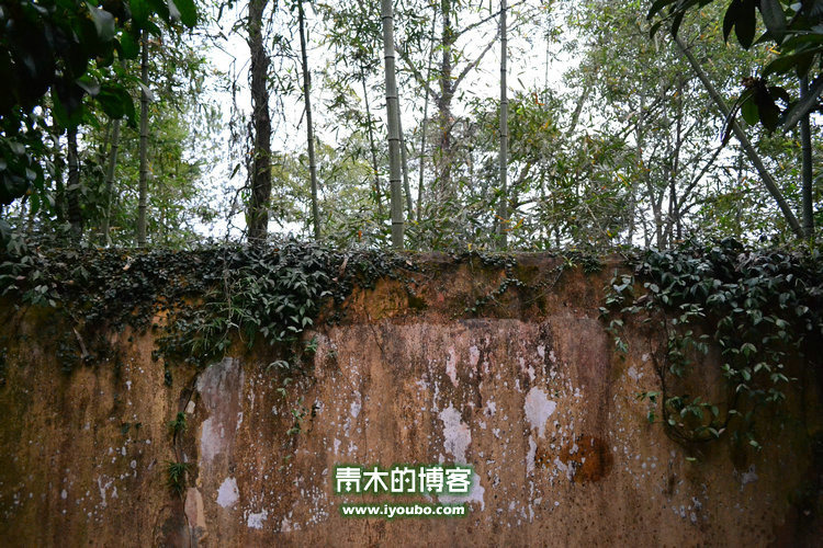 天台山慈恩寺修行之旅