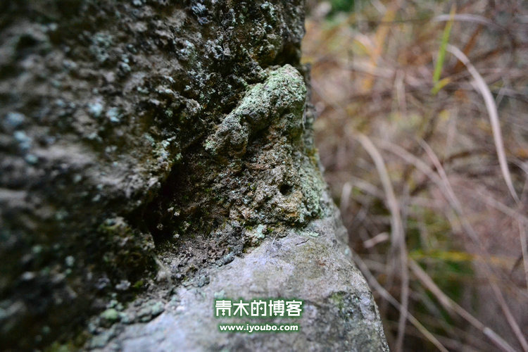 天台山慈恩寺修行之旅