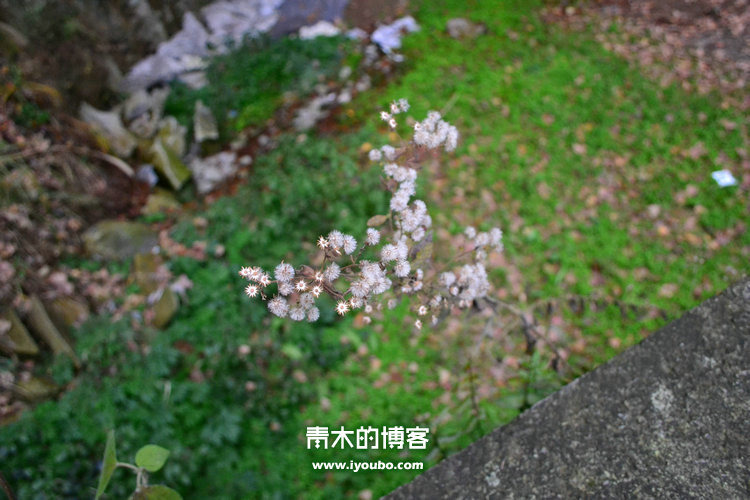 天台山慈恩寺修行之旅