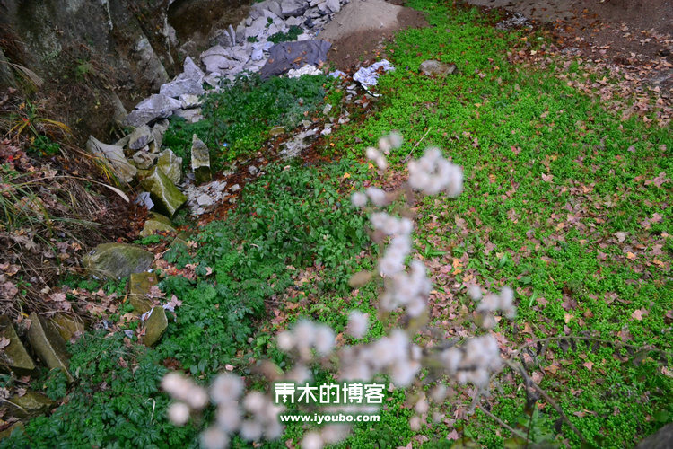 天台山慈恩寺修行之旅