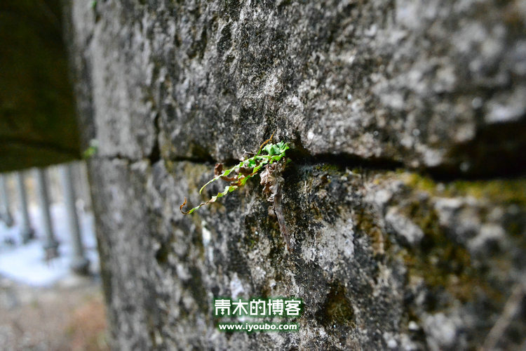 天台山慈恩寺修行之旅