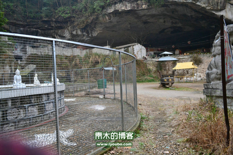 天台山慈恩寺修行之旅