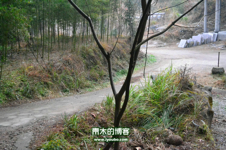 天台山慈恩寺修行之旅