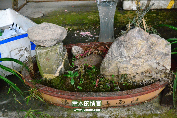 天台山慈恩寺修行之旅