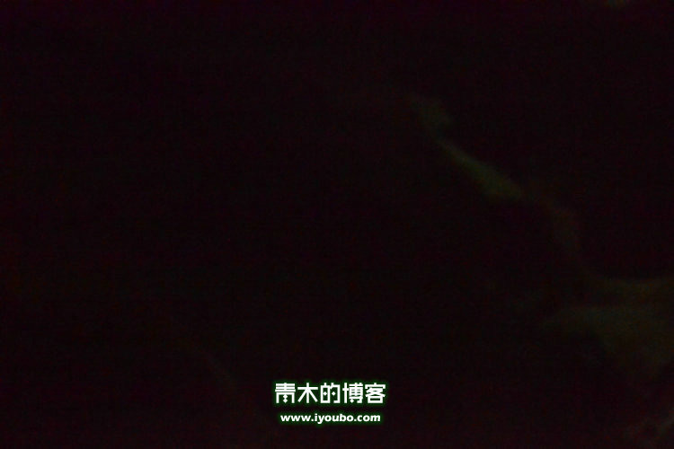 天台山慈恩寺修行之旅